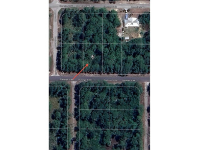 Located in Placid Lakes. Conveniently located between the town on Placid Lakes Country Club in Florida - for sale on GolfHomes.com, golf home, golf lot