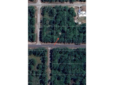 Located in Placid Lakes. Conveniently located between the town on Placid Lakes Country Club in Florida - for sale on GolfHomes.com, golf home, golf lot