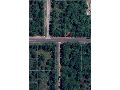Located in Placid Lakes. Conveniently located between the town on Placid Lakes Country Club in Florida - for sale on GolfHomes.com, golf home, golf lot