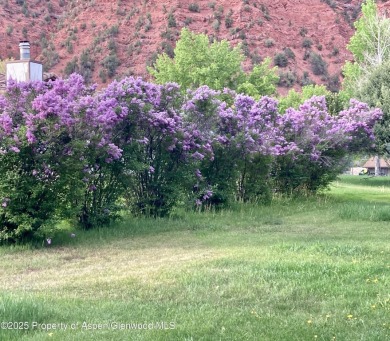 Discover your own slice of Colorado paradise in the desirable on Ironbridge Golf Club in Colorado - for sale on GolfHomes.com, golf home, golf lot