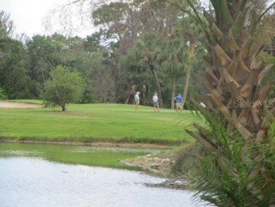 Located in the middle of just about anything you could need on Capri Isle Golf Club in Florida - for sale on GolfHomes.com, golf home, golf lot