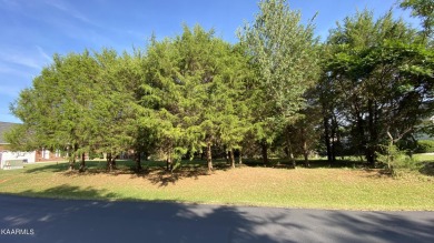 Beautiful lot with lake views!  This gently sloping lot is on The Links At Kahite Golf Course in Tennessee - for sale on GolfHomes.com, golf home, golf lot