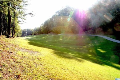 Welcome HOME!  This adorable 4BR 2 1/2 BA home is everything you on Inverness Country Club in Alabama - for sale on GolfHomes.com, golf home, golf lot