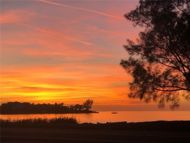 Awaken to sunny, sweeping views of the Intracoastal Waterway and on Lemon Bay Golf Club in Florida - for sale on GolfHomes.com, golf home, golf lot