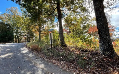 BEAUTIFULLY WOODED LOT WITH BIG MOUNTAIN VIEWS IN THE MOUNTAINS on Brasstown Valley Resort and Spa in Georgia - for sale on GolfHomes.com, golf home, golf lot