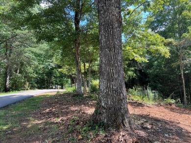 BEAUTIFULLY WOODED LOT WITH BIG MOUNTAIN VIEWS IN THE MOUNTAINS on Brasstown Valley Resort and Spa in Georgia - for sale on GolfHomes.com, golf home, golf lot