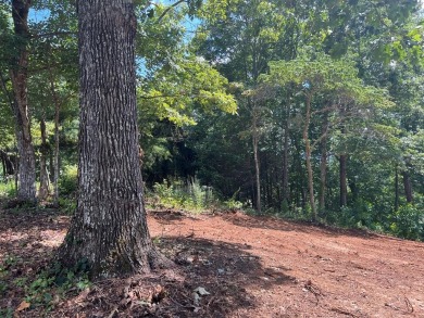 BEAUTIFULLY WOODED LOT WITH BIG MOUNTAIN VIEWS IN THE MOUNTAINS on Brasstown Valley Resort and Spa in Georgia - for sale on GolfHomes.com, golf home, golf lot