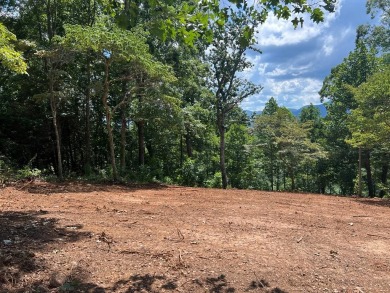 BEAUTIFULLY WOODED LOT WITH BIG MOUNTAIN VIEWS IN THE MOUNTAINS on Brasstown Valley Resort and Spa in Georgia - for sale on GolfHomes.com, golf home, golf lot