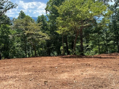 BEAUTIFULLY WOODED LOT WITH BIG MOUNTAIN VIEWS IN THE MOUNTAINS on Brasstown Valley Resort and Spa in Georgia - for sale on GolfHomes.com, golf home, golf lot