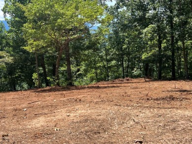 BEAUTIFULLY WOODED LOT WITH BIG MOUNTAIN VIEWS IN THE MOUNTAINS on Brasstown Valley Resort and Spa in Georgia - for sale on GolfHomes.com, golf home, golf lot