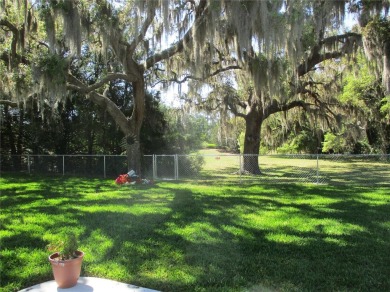 THIS SWEET HOME PACKS A BIG PUNCH !! Tastefully and sensibly on Preserve Golf Club in Florida - for sale on GolfHomes.com, golf home, golf lot