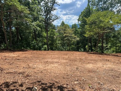 BEAUTIFULLY WOODED LOT WITH BIG MOUNTAIN VIEWS IN THE MOUNTAINS on Brasstown Valley Resort and Spa in Georgia - for sale on GolfHomes.com, golf home, golf lot