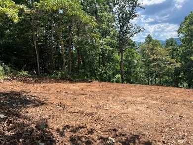 BEAUTIFULLY WOODED LOT WITH BIG MOUNTAIN VIEWS IN THE MOUNTAINS on Brasstown Valley Resort and Spa in Georgia - for sale on GolfHomes.com, golf home, golf lot
