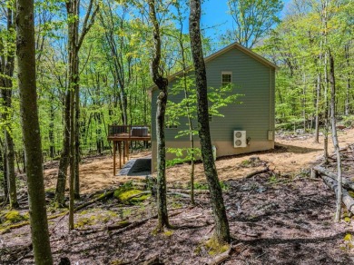 Welcome to 'Mountainside Retreat', a NEW CONSTRUCTION home on Alpine Lake Resort in West Virginia - for sale on GolfHomes.com, golf home, golf lot