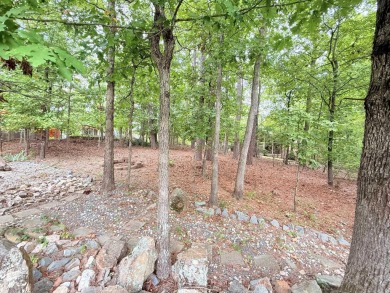 Enclosed glass sunroom offers year-round enjoyment from this on Cortez Golf Course in Arkansas - for sale on GolfHomes.com, golf home, golf lot