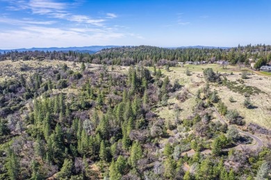 Welcome to Murphys Meadows. This rare 256-acre property on Forest Meadows Golf Course in California - for sale on GolfHomes.com, golf home, golf lot