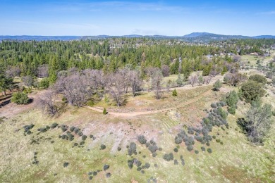 Welcome to Murphys Meadows. This rare 256-acre property on Forest Meadows Golf Course in California - for sale on GolfHomes.com, golf home, golf lot