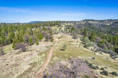 Welcome to Murphys Meadows. This rare 256-acre property on Forest Meadows Golf Course in California - for sale on GolfHomes.com, golf home, golf lot