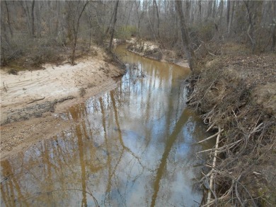 +/- 23 ACRES, South Sharon Church Rd, Loganville, Ga (Portion of on Cedar Lake Golf Club in Georgia - for sale on GolfHomes.com, golf home, golf lot