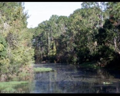 This is a one of a kind lot, and a truly rare opportunity to own on The Grand Club - Pine Lakes Course in Florida - for sale on GolfHomes.com, golf home, golf lot