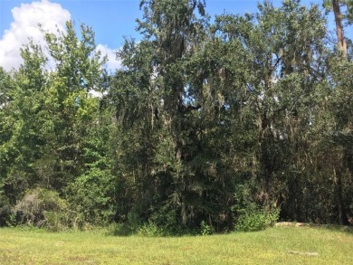 Almost 7 Acres with mature trees, both oaks and pines. There is on The Concession Golf Club in Florida - for sale on GolfHomes.com, golf home, golf lot