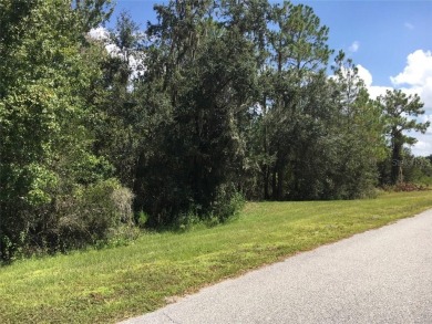 Almost 7 Acres with mature trees, both oaks and pines. There is on The Concession Golf Club in Florida - for sale on GolfHomes.com, golf home, golf lot