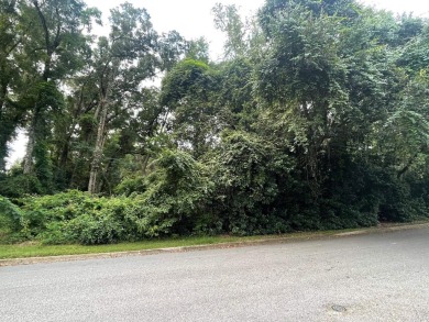 The LAST remaining GOLF COURSE LOT in Killearn Estates! The all on Killearn Country Club and Inn in Florida - for sale on GolfHomes.com, golf home, golf lot