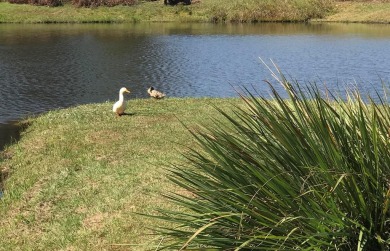 Builder Ready Lots in the Willow Walk Subdivision. Enjoy all the on Headland Country Club in Alabama - for sale on GolfHomes.com, golf home, golf lot