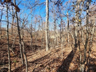 Build your dream home and immerse yourself in the natural beauty on Bella Vista Country Club - Highlands in Arkansas - for sale on GolfHomes.com, golf home, golf lot