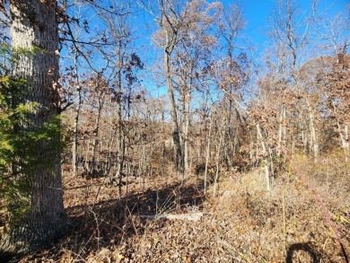 Build your dream home and immerse yourself in the natural beauty on Bella Vista Country Club - Highlands in Arkansas - for sale on GolfHomes.com, golf home, golf lot