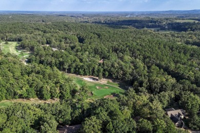 Oh, the possibilities! Enjoy this spacious home on the 14th on Balboa Golf Course in Arkansas - for sale on GolfHomes.com, golf home, golf lot
