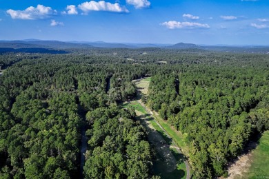 Oh, the possibilities! Enjoy this spacious home on the 14th on Balboa Golf Course in Arkansas - for sale on GolfHomes.com, golf home, golf lot