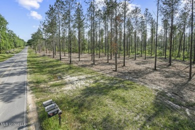 Welcome to your slice of paradise in Hidden Creek Estates on Fallen Oak Golf Club in Mississippi - for sale on GolfHomes.com, golf home, golf lot