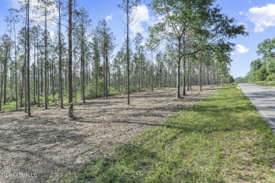 Welcome to your slice of paradise in Hidden Creek Estates on Fallen Oak Golf Club in Mississippi - for sale on GolfHomes.com, golf home, golf lot