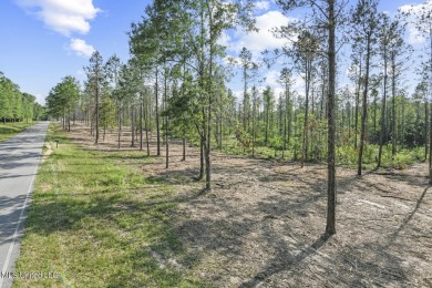 Welcome to your slice of paradise in Hidden Creek Estates on Fallen Oak Golf Club in Mississippi - for sale on GolfHomes.com, golf home, golf lot