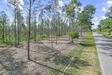 Welcome to your slice of paradise in Hidden Creek Estates on Fallen Oak Golf Club in Mississippi - for sale on GolfHomes.com, golf home, golf lot