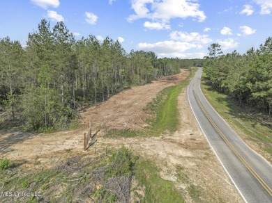 Welcome to your slice of paradise in Hidden Creek Estates on Fallen Oak Golf Club in Mississippi - for sale on GolfHomes.com, golf home, golf lot