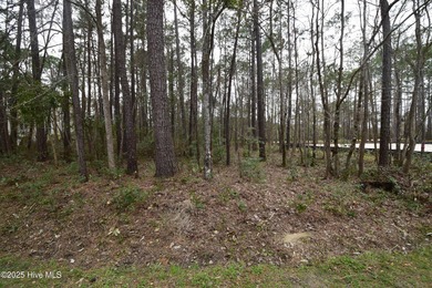 DO NOT MISS THIS OPPORTUNITY. PRICE REDUCTION. Last lot on this on Harbour Point Golf Club in North Carolina - for sale on GolfHomes.com, golf home, golf lot