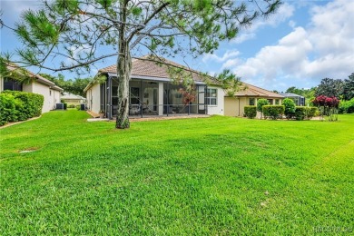 Experience the luxury of MAINTENANCE FREE living in this on Skyview At Terra Vista Golf and Country Club in Florida - for sale on GolfHomes.com, golf home, golf lot
