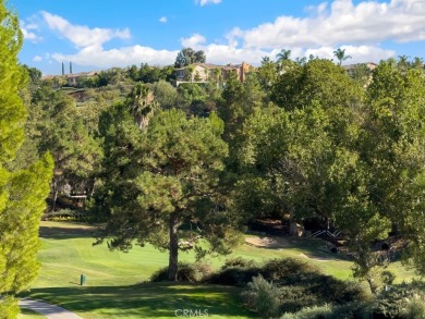 Exquisite Luxury Golf Course View Home in The Fairways at on  in California - for sale on GolfHomes.com, golf home, golf lot