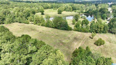 A wonderful opportunity to own over 5 acres very close to the on Magnolia Meadows Golf Course in Alabama - for sale on GolfHomes.com, golf home, golf lot