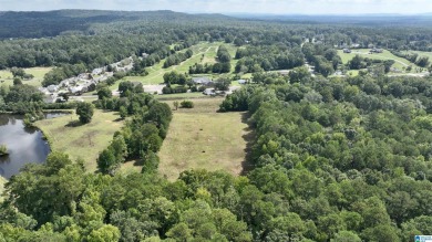 A wonderful opportunity to own over 5 acres very close to the on Magnolia Meadows Golf Course in Alabama - for sale on GolfHomes.com, golf home, golf lot