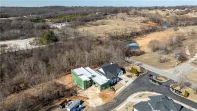 This newly constructed luxury home in the prestigious Blessings on Blessings Golf Club in Arkansas - for sale on GolfHomes.com, golf home, golf lot