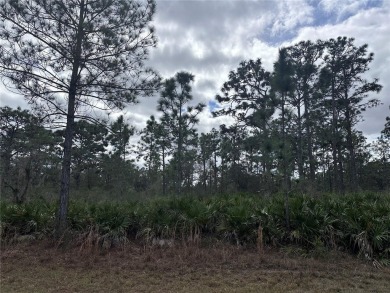 Build your home in a ONE-ACRE! Lots to be sold together they are on Indian Lake Estates Golf and Country Club in Florida - for sale on GolfHomes.com, golf home, golf lot