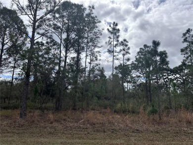 Build your home in a ONE-ACRE! Lots to be sold together they are on Indian Lake Estates Golf and Country Club in Florida - for sale on GolfHomes.com, golf home, golf lot