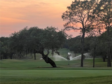 Come discover the perfect blend of luxury and lifestyle in this on Skyview At Terra Vista Golf and Country Club in Florida - for sale on GolfHomes.com, golf home, golf lot