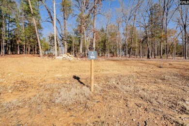 Discover the allure of White Water Landing, Lake Murray's newest on Timberlake Country Club in South Carolina - for sale on GolfHomes.com, golf home, golf lot