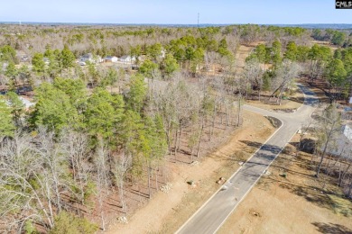 Discover the allure of White Water Landing, Lake Murray's newest on Timberlake Country Club in South Carolina - for sale on GolfHomes.com, golf home, golf lot