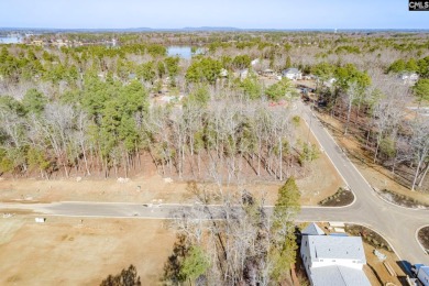 Discover the allure of White Water Landing, Lake Murray's newest on Timberlake Country Club in South Carolina - for sale on GolfHomes.com, golf home, golf lot