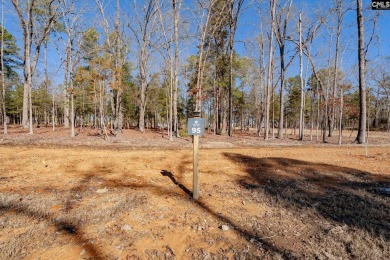 Discover the allure of White Water Landing, Lake Murray's newest on Timberlake Country Club in South Carolina - for sale on GolfHomes.com, golf home, golf lot